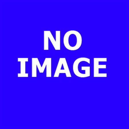 E. Valle <br/><br/>"Scorcio con ponte sul canale" olio su tavola (cm 14,5x24) Fi