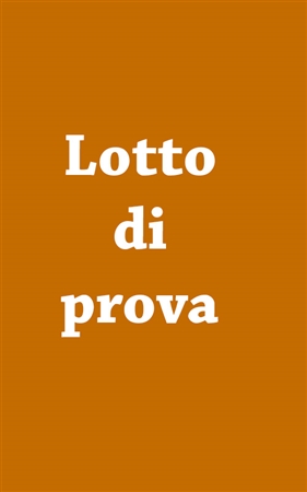 Lotto di prova
